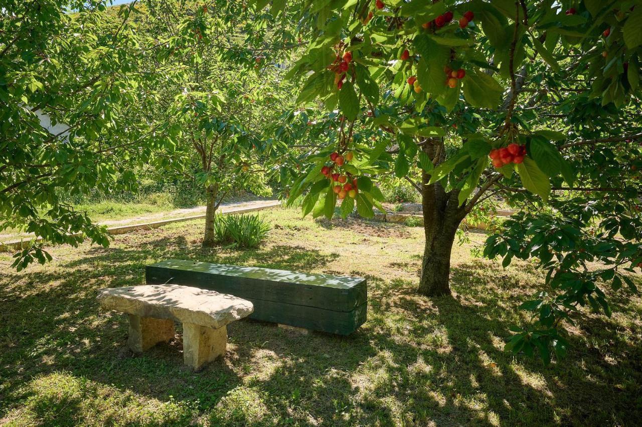 Holiday Home Plasa Zrnovnica Exterior photo